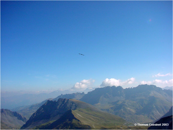 Accueil/Alpes - Randonnes/Pic Blanc du Galibier - 3000 mtres - Et 2003 - Pic_Blanc_Galibier_00101