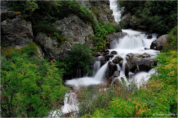 Accueil/Alpes - Randonnes/Le long de la Neuvache - Neuvache_DSC0044