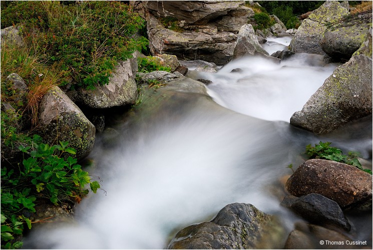 Accueil/Alpes - Randonnes/Le long de la Neuvache - Neuvache_DSC0062