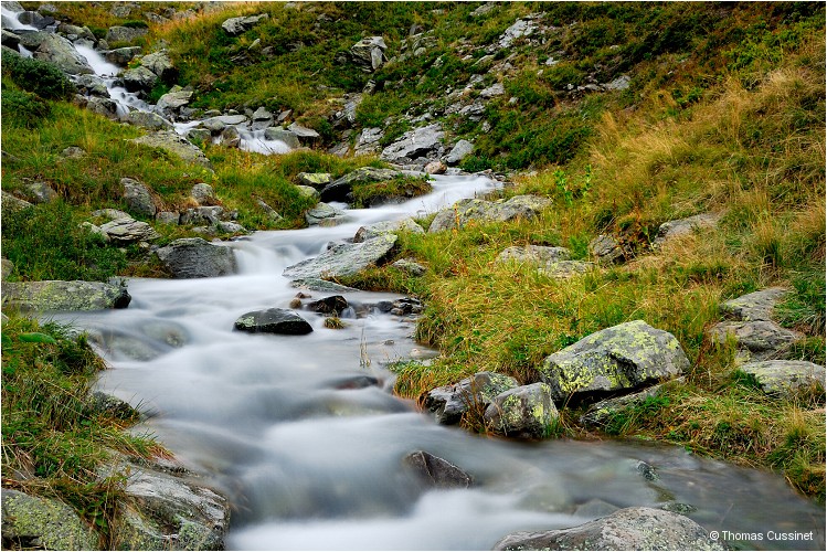 Accueil/Alpes - Randonnes/Le long de la Neuvache - Neuvache_DSC0072