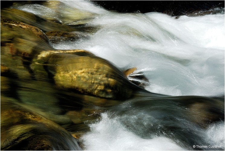 Accueil/Alpes - Randonnes/Le long de la Neuvache - Neuvache_DSC0664