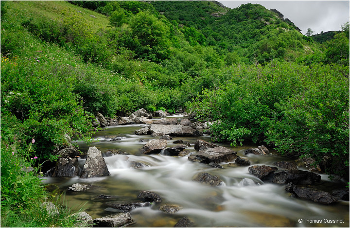 Accueil/Alpes - Randonnes/Le long de la Neuvache - Neuvache_DSC1052