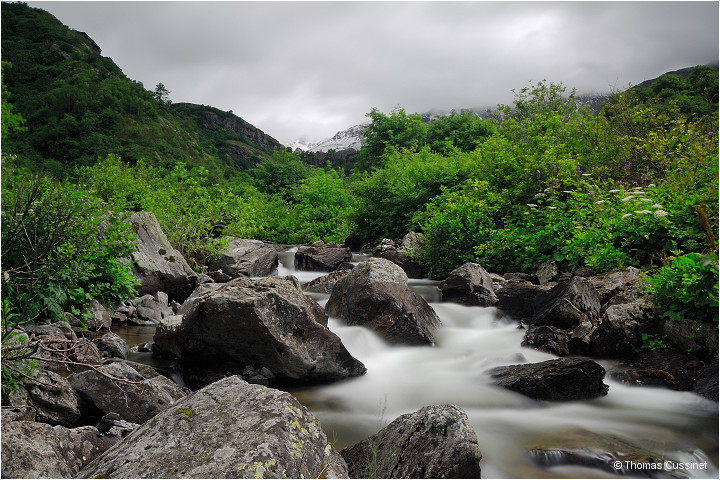 Accueil/Alpes - Randonnes/Le long de la Neuvache - Neuvache_DSC1055