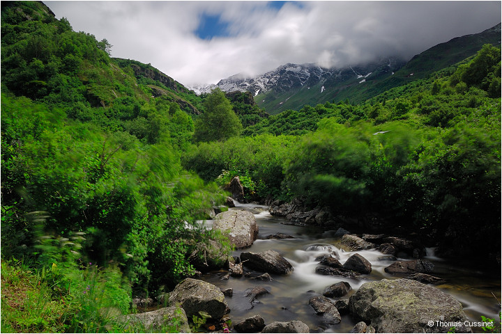 Accueil/Alpes - Randonnes/Le long de la Neuvache - Neuvache_DSC1057