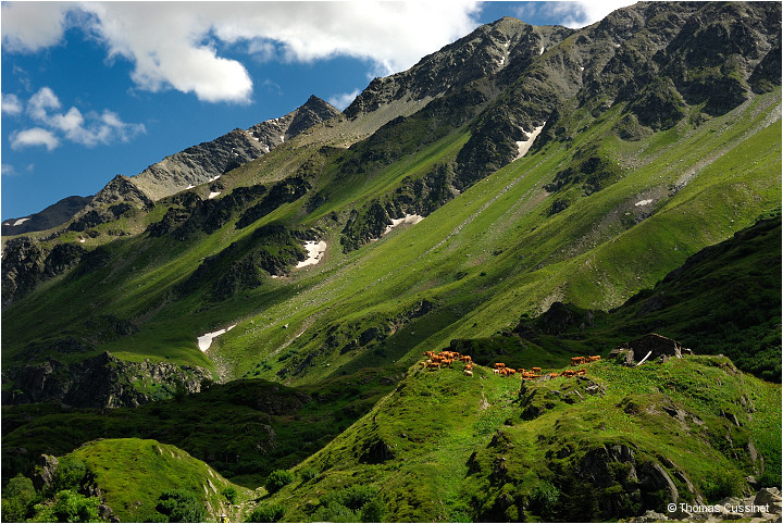 Accueil/Alpes - Randonnes/Le long de la Neuvache - Neuvache_DSC1355