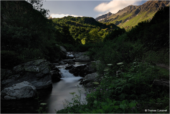 Accueil/Alpes - Randonnes/Le long de la Neuvache - Neuvache_DSC1508