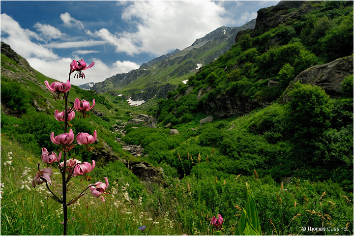 Accueil/Alpes - Randonnes/Sur le chemin des grands lacs en passant par le lac gaspi - Grands_Lacs_27-06-2009_DSC1266