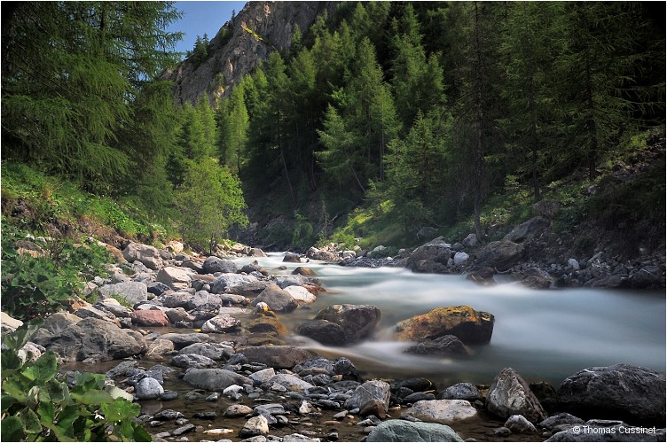 Accueil/Alpes - Randonnes/Le long de la Valloirette - Valloirette_DSC6812