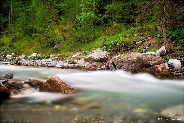 Accueil/Alpes - Randonnes/Le long de la Valloirette - Valloirette_DSC6886