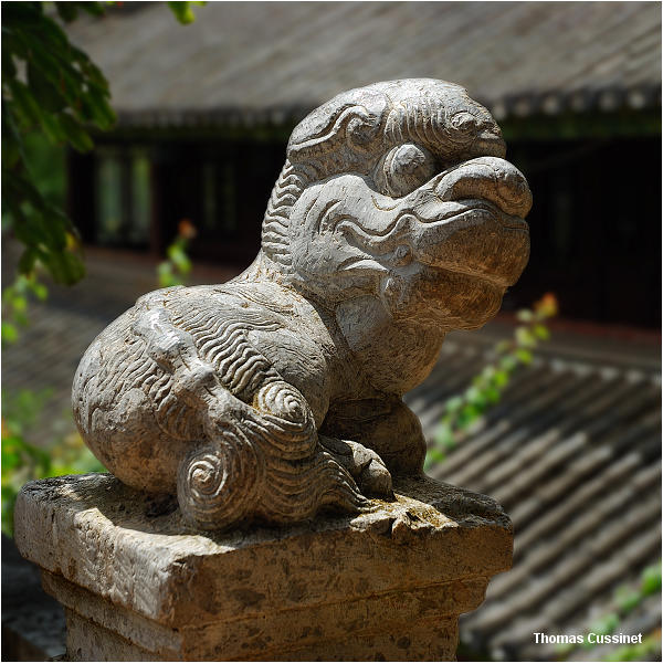 Accueil/Voyage en Chine - Ao�t 2006 - Mise en ligne par �tape de voyage/4�me �tape - Lijiang - Lac du Dragon Noir - Chine_Lijiang_Lac_du_dragon_noir_dsc_2057def_site