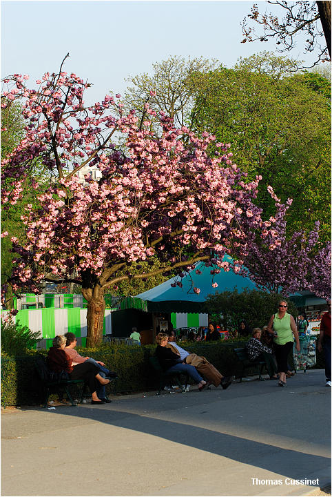 Accueil/La faune et la flore/Fleurs - dsc_0599_site