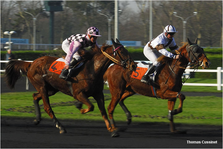 Accueil/Hippodrome de Vincennes - Hippodrome_Vincennes_dsc0652_site