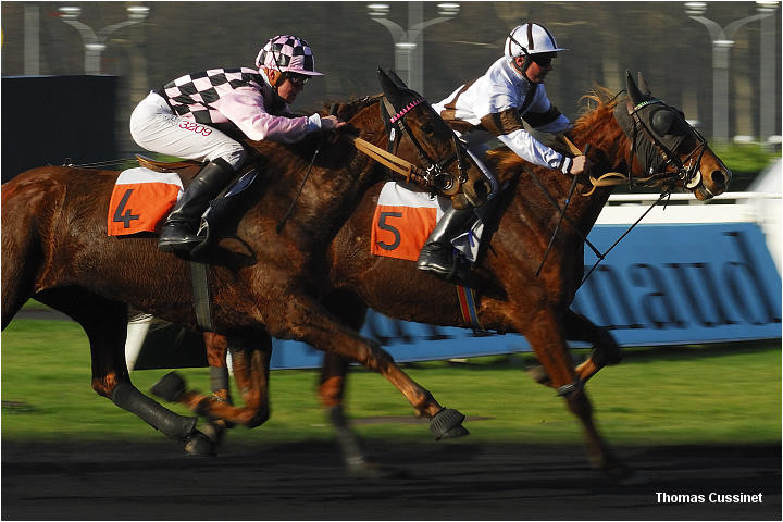 Accueil/Hippodrome de Vincennes - Hippodrome_Vincennes_dsc0653_site