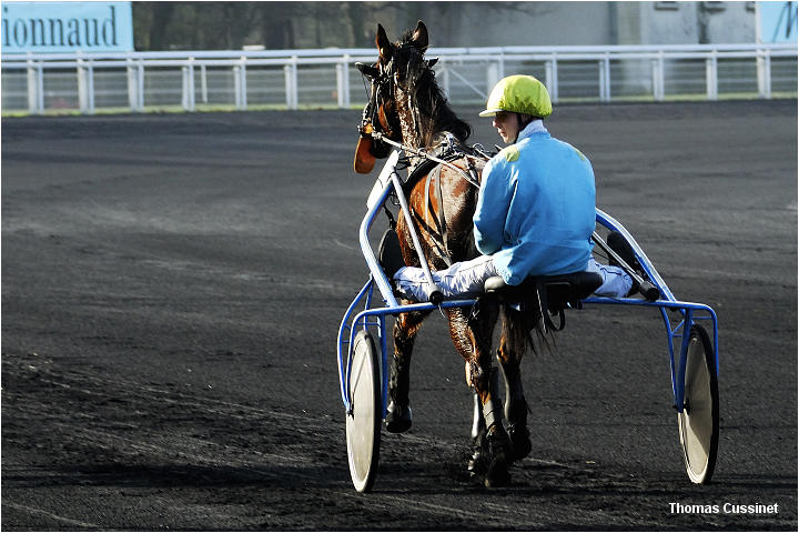 Accueil/Hippodrome de Vincennes - Hippodrome_Vincennes_dsc0658_site