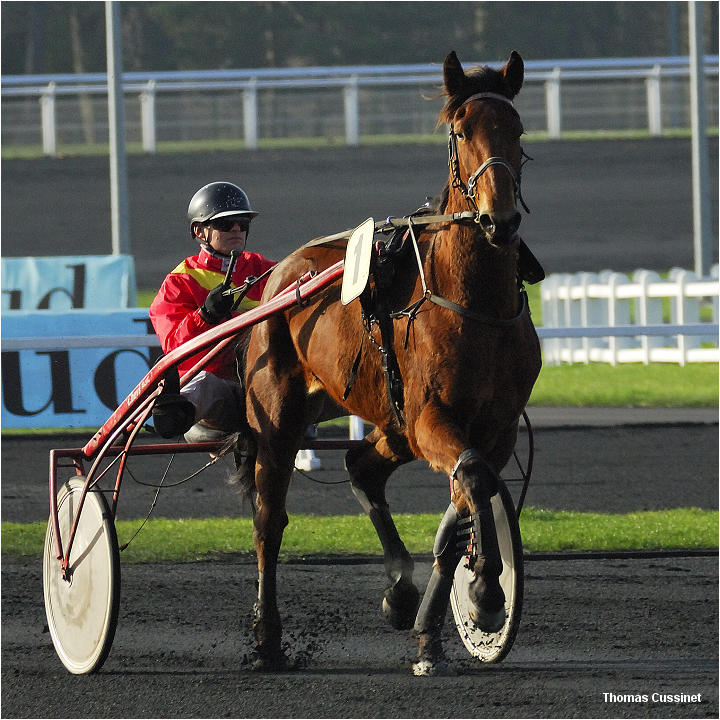 http://www.tomcuss.fr/webphoto/Hippodrome_Vincennes/Hippodrome_Vincennes_dsc0669_site.jpg