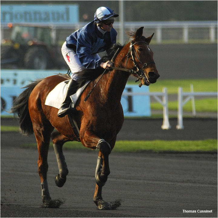 Accueil/Hippodrome de Vincennes - Hippodrome_Vincennes_dsc0697_site