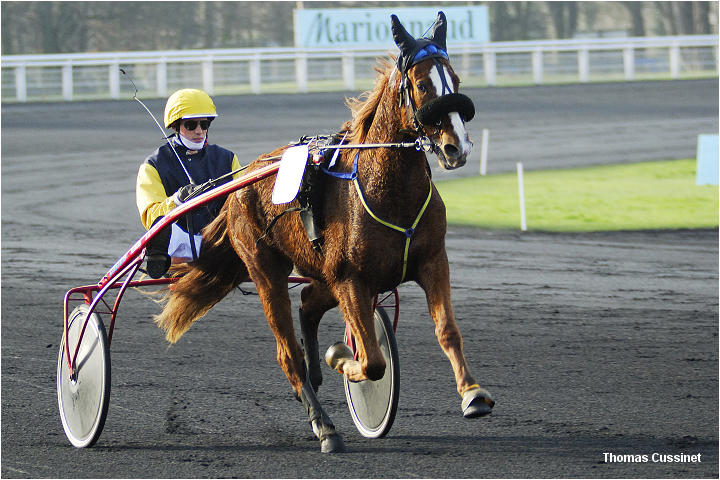 Accueil/Hippodrome de Vincennes - Hippodrome_Vincennes_dsc0737_site