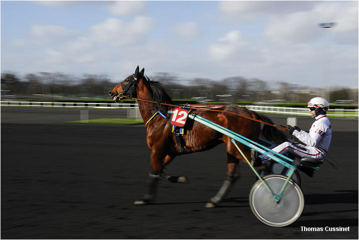 Accueil/Hippodrome de Vincennes - Hippodrome_Vincennes_dsc1101_site