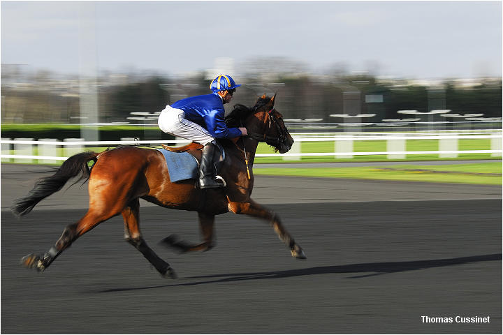 Accueil/Hippodrome de Vincennes - Hippodrome_Vincennes_dsc1138_site