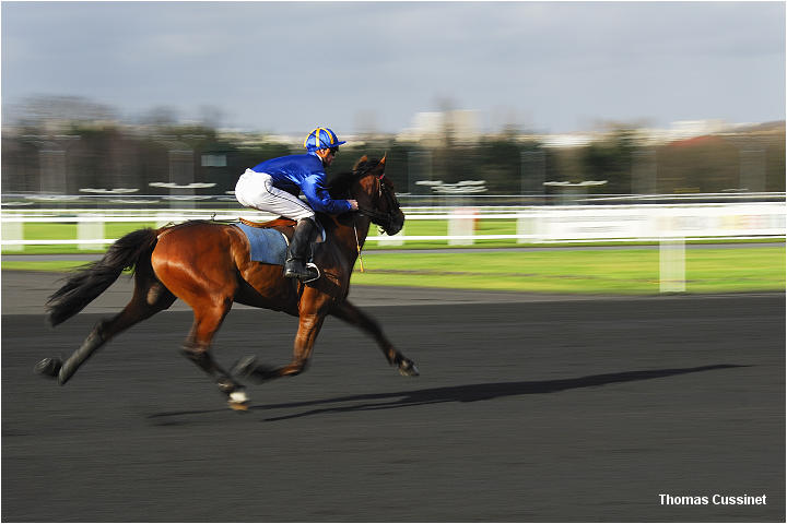 Accueil/Hippodrome de Vincennes - Hippodrome_Vincennes_dsc1139_site