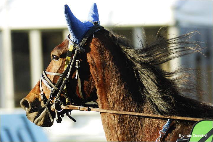 Accueil/Hippodrome de Vincennes - Hippodrome_Vincennes_dsc1186_site