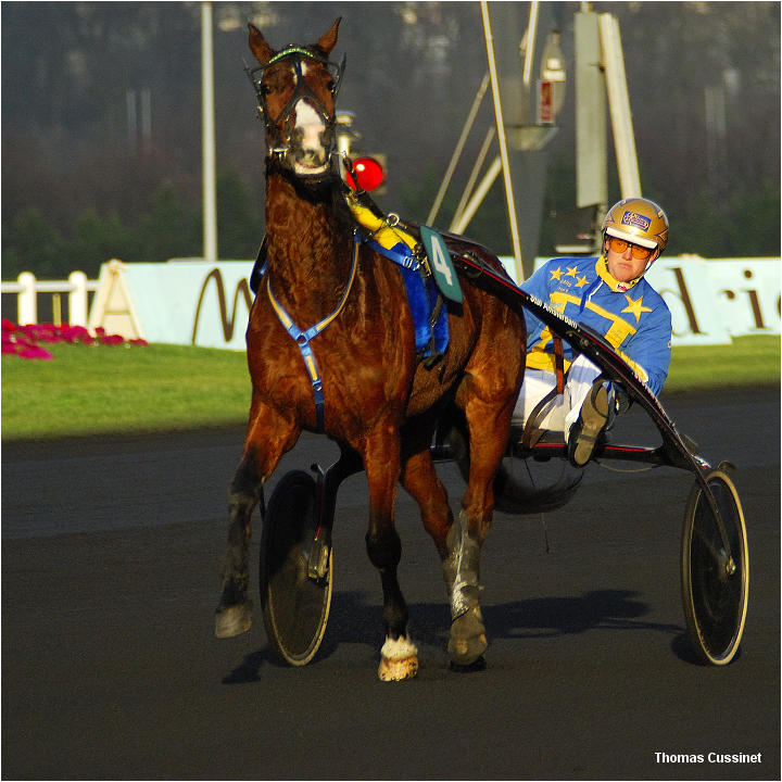 Accueil/Hippodrome de Vincennes - Hippodrome_Vincennes_dsc1224_site