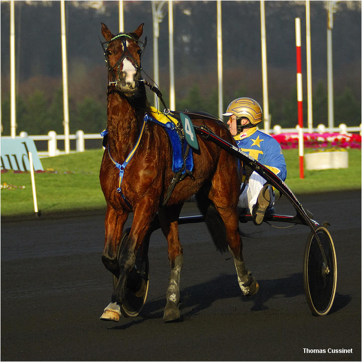 Accueil/Hippodrome de Vincennes - Hippodrome_Vincennes_dsc1226_site