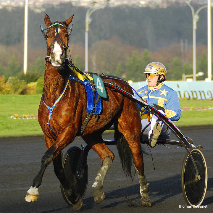 Accueil/Hippodrome de Vincennes - Hippodrome_Vincennes_dsc1227_site