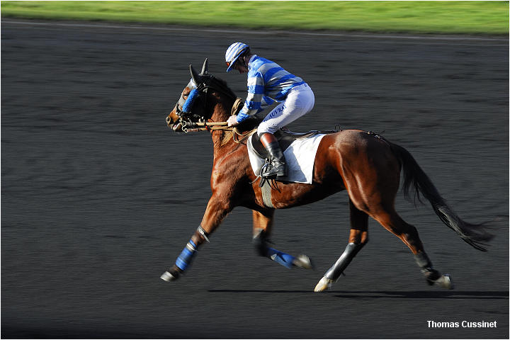 Accueil/Hippodrome de Vincennes - Hippodrome_Vincennes_dsc1265_site