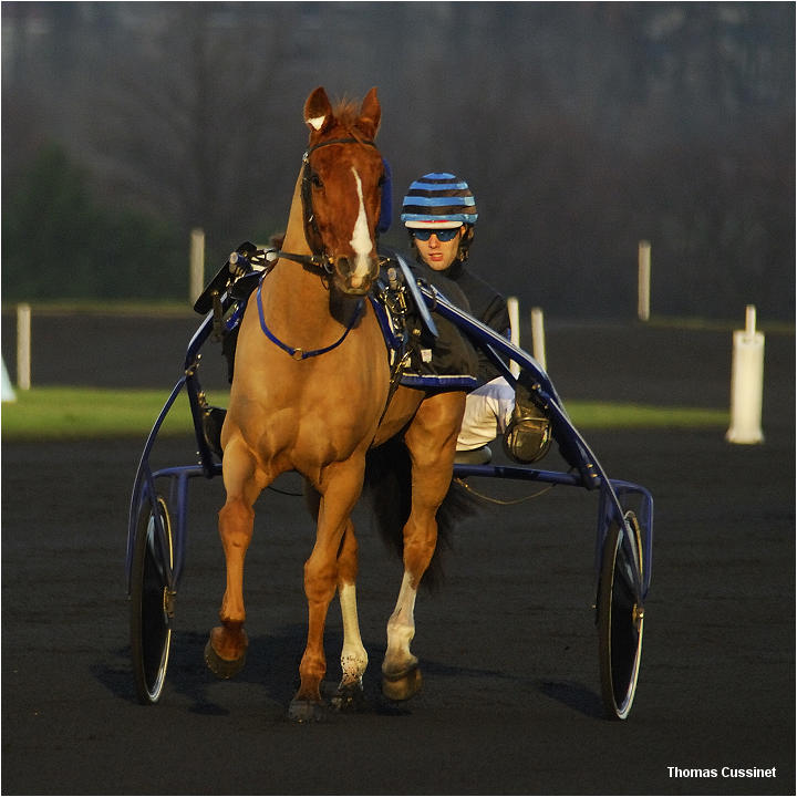 Accueil/Hippodrome de Vincennes - Hippodrome_Vincennes_dsc1288_site