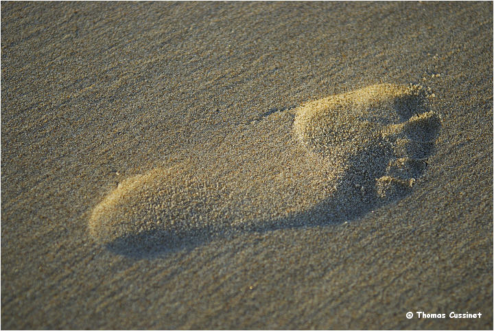 Accueil/Les inclassables - photos diverses (scne de la vie, paysages ...) - Calais_DSC0005_site