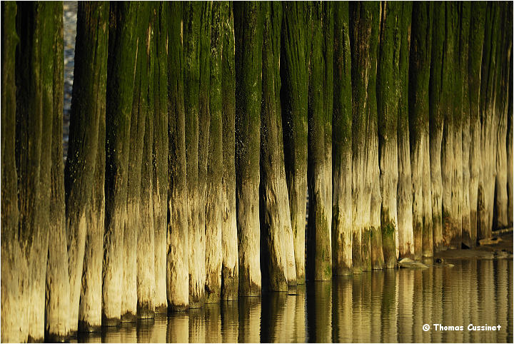 Accueil/Les inclassables - photos diverses (scne de la vie, paysages ...) - Calais_DSC0037_site