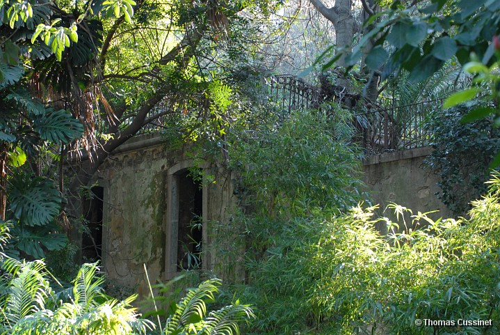 Accueil/Voyage  Lisbonne et ses environs - Dcembre 2005/Lisbonne/Jardin Botanique - DSC_0035