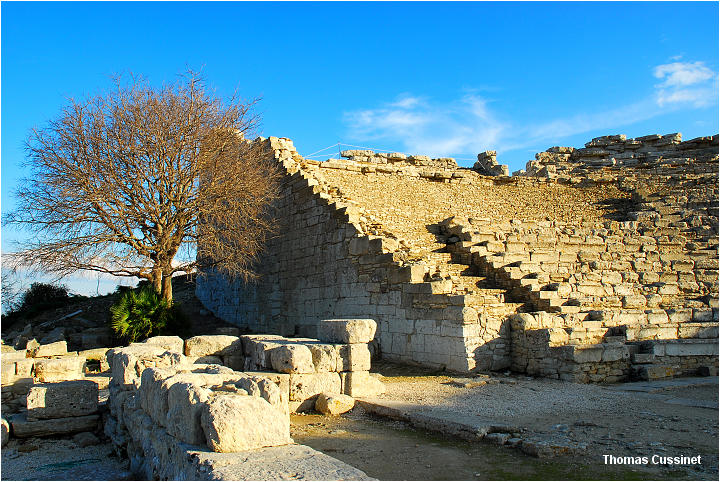 Accueil/Voyage en Sicile - Fvrier 2006 - Mise en ligne progressive/2me jour-Segesta - segesta_0094_m2_site