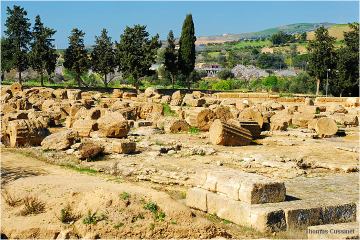 Accueil/Voyage en Sicile - Fvrier 2006 - Mise en ligne progressive/3me jour-Agrigento-La valle des temples - agrigento_0011_site