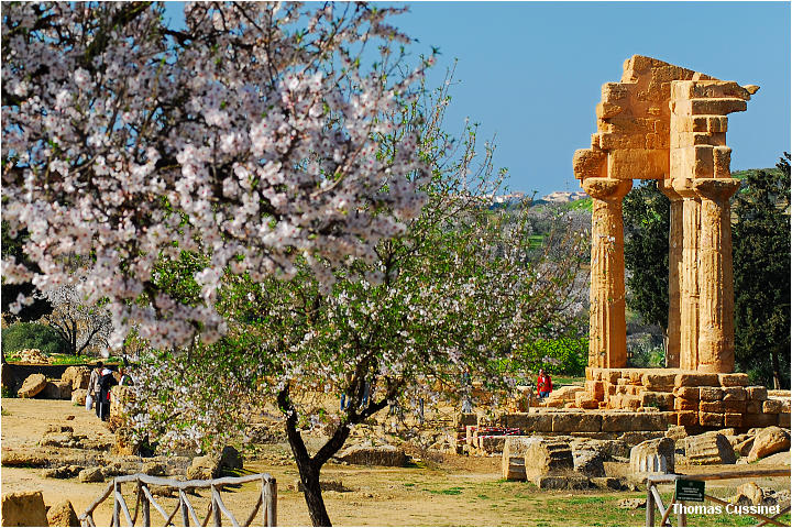 Accueil/Voyage en Sicile - Fvrier 2006 - Mise en ligne progressive/3me jour-Agrigento-La valle des temples - agrigento_0027_site