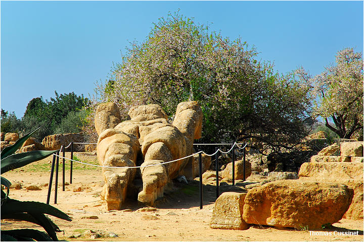 Accueil/Voyage en Sicile - Fvrier 2006 - Mise en ligne progressive/3me jour-Agrigento-La valle des temples - agrigento_0032_site